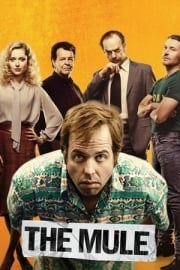 Kurye Türkçe dublaj izle
